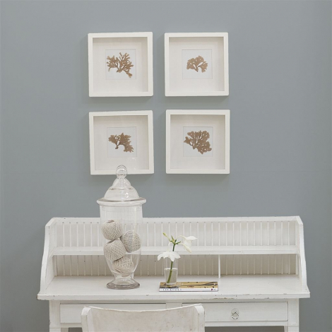 Patrician  no 41  perfect paint 