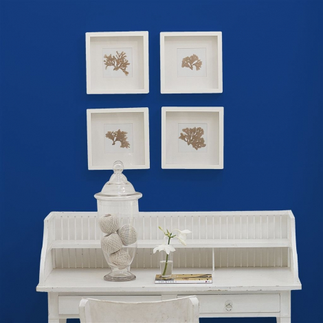 Prussian  no 52  perfect paint 