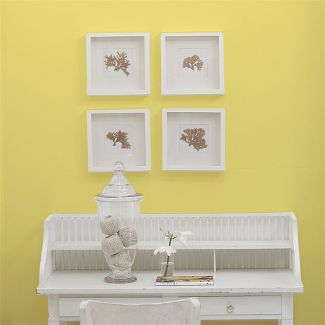 Amalfi lemon  no 119  perfect paint 