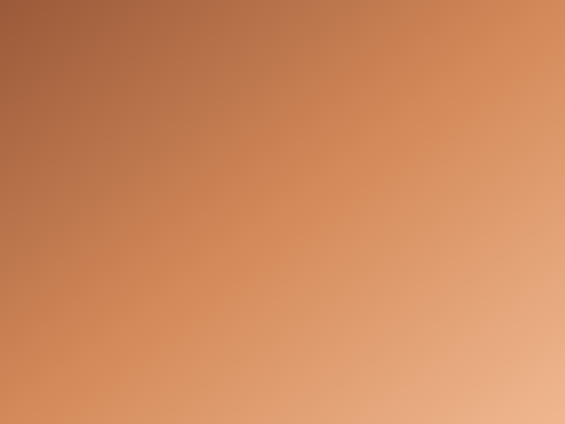 Peach & Terracotta Wallpaper
