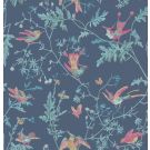 Hummingbirds
