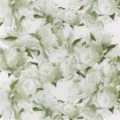 Peonia - Green Wallpaper