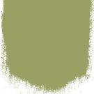 Asparagus fern  no 94  perfect paint 