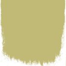 Fenouil  no 110  perfect paint 