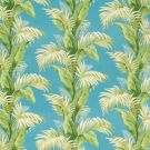 PALMETTO