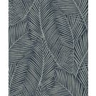 PAMPAS PALM