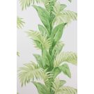 Palmetto