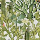 Opuntia