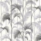 Royal Palm
