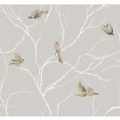 DREAMY BIRDS