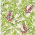 Sunbird