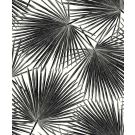 PALM