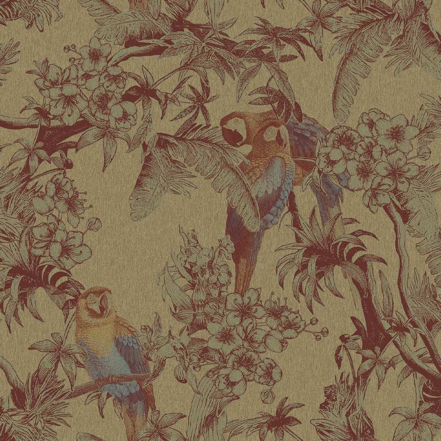 Macaw
