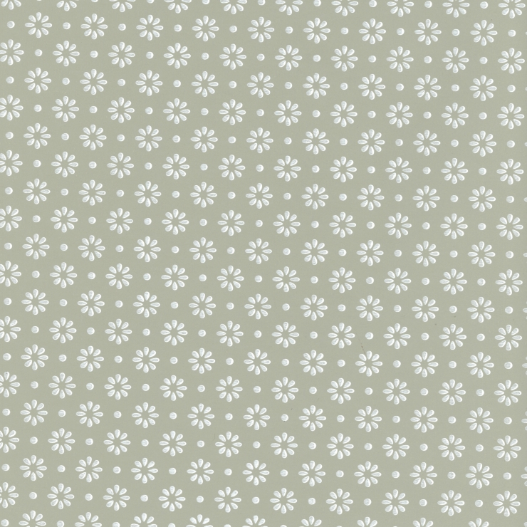 Daisy