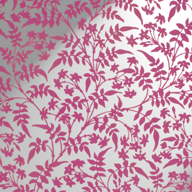 Jasmin Flock