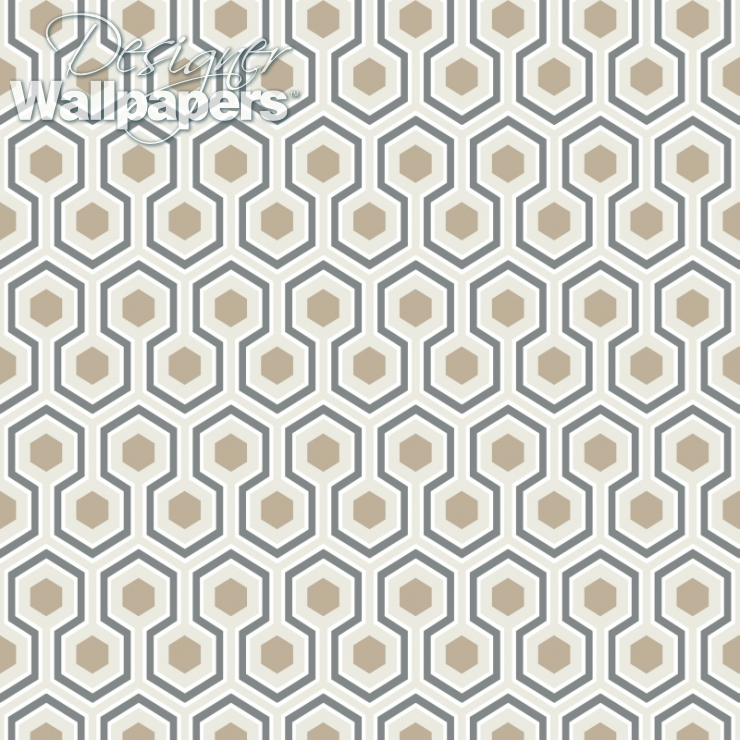 Hicks' Hexagon