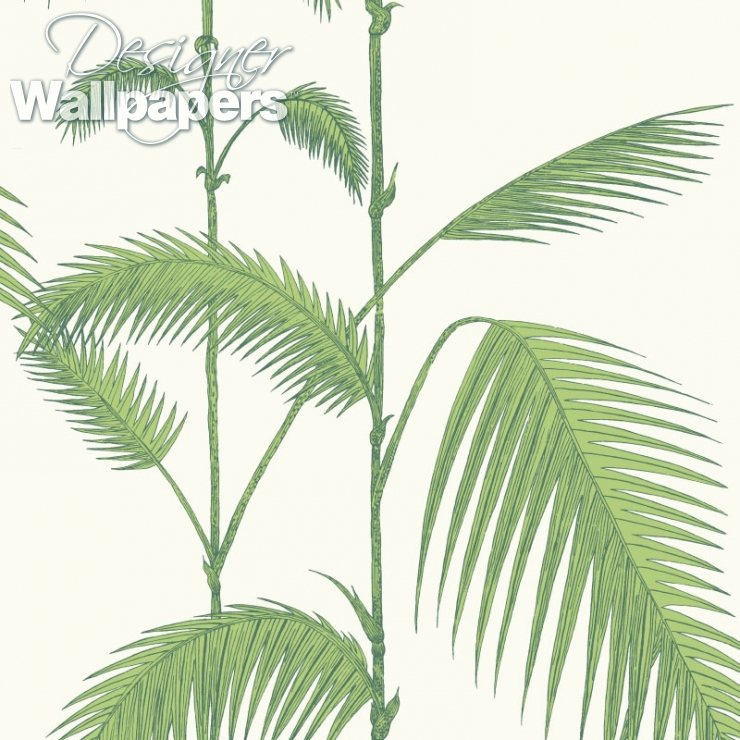 Palm Leaves