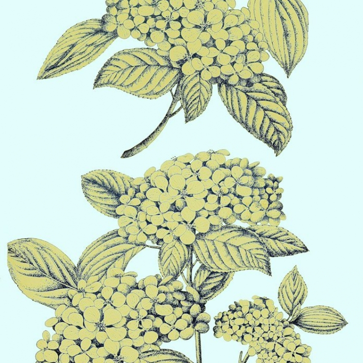 Hydrangia by Fornasetti