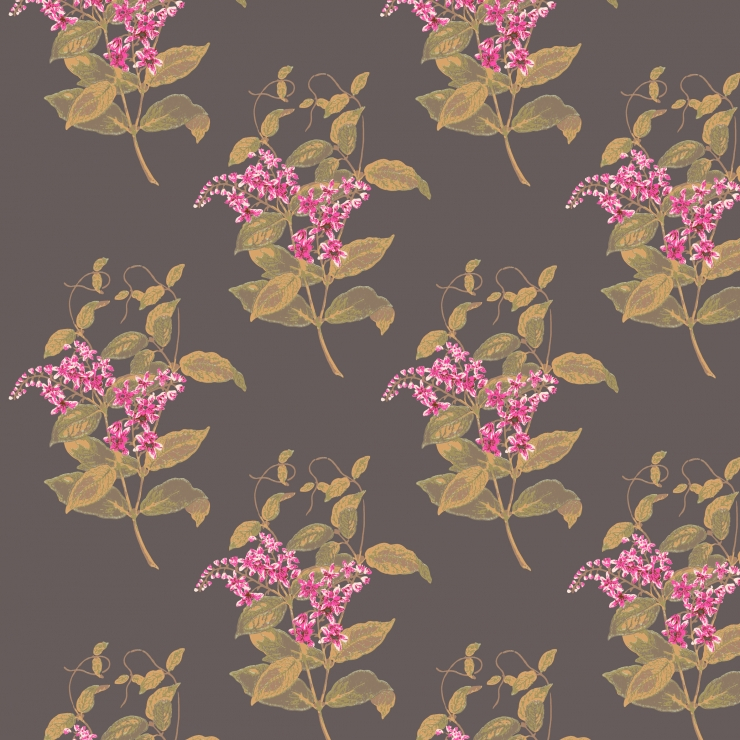 Madras Violet