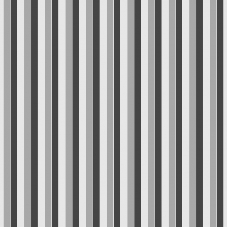 Shirting