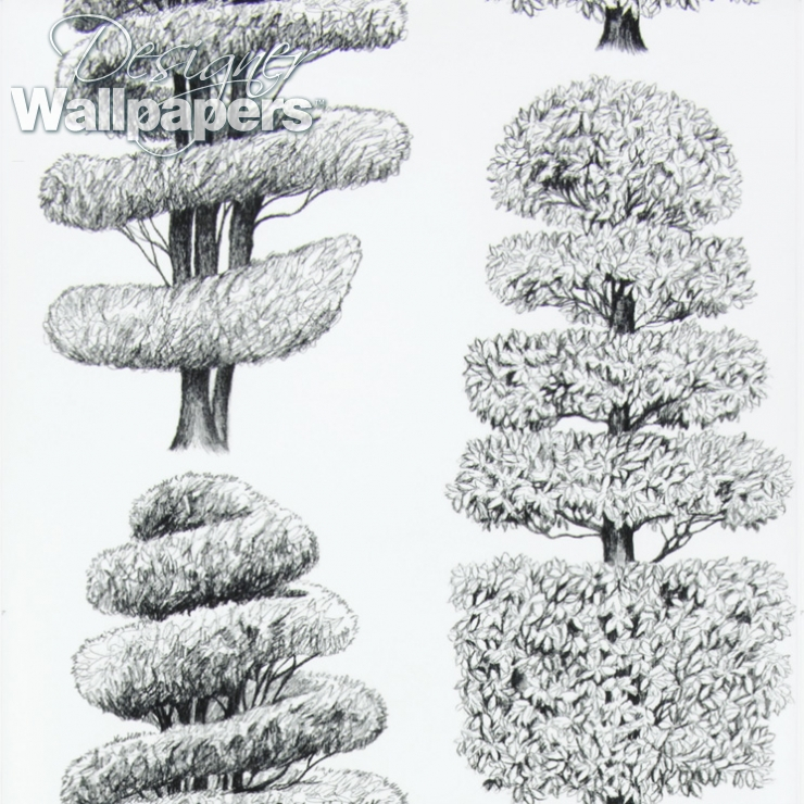 Linnaeus