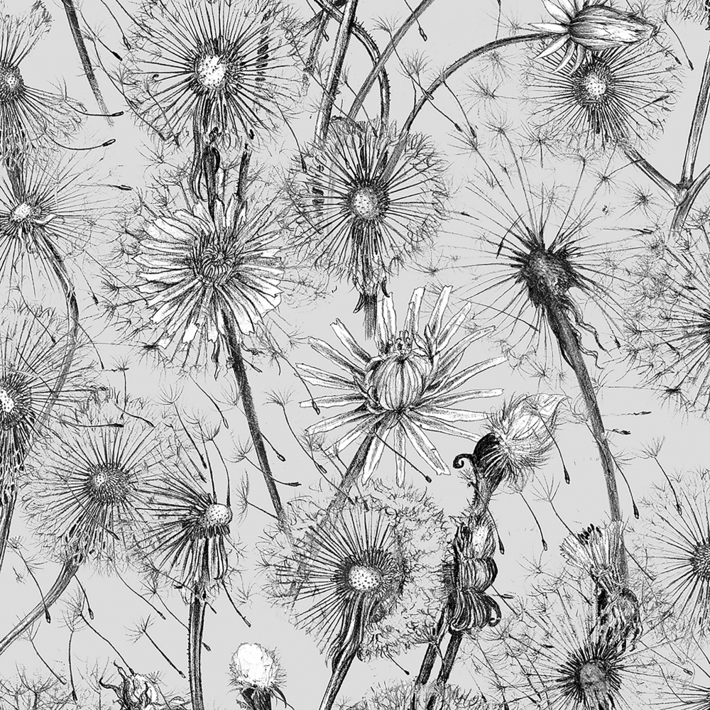 Alexander Meli Dandelions Designer Wallpaper Next Day Delivery