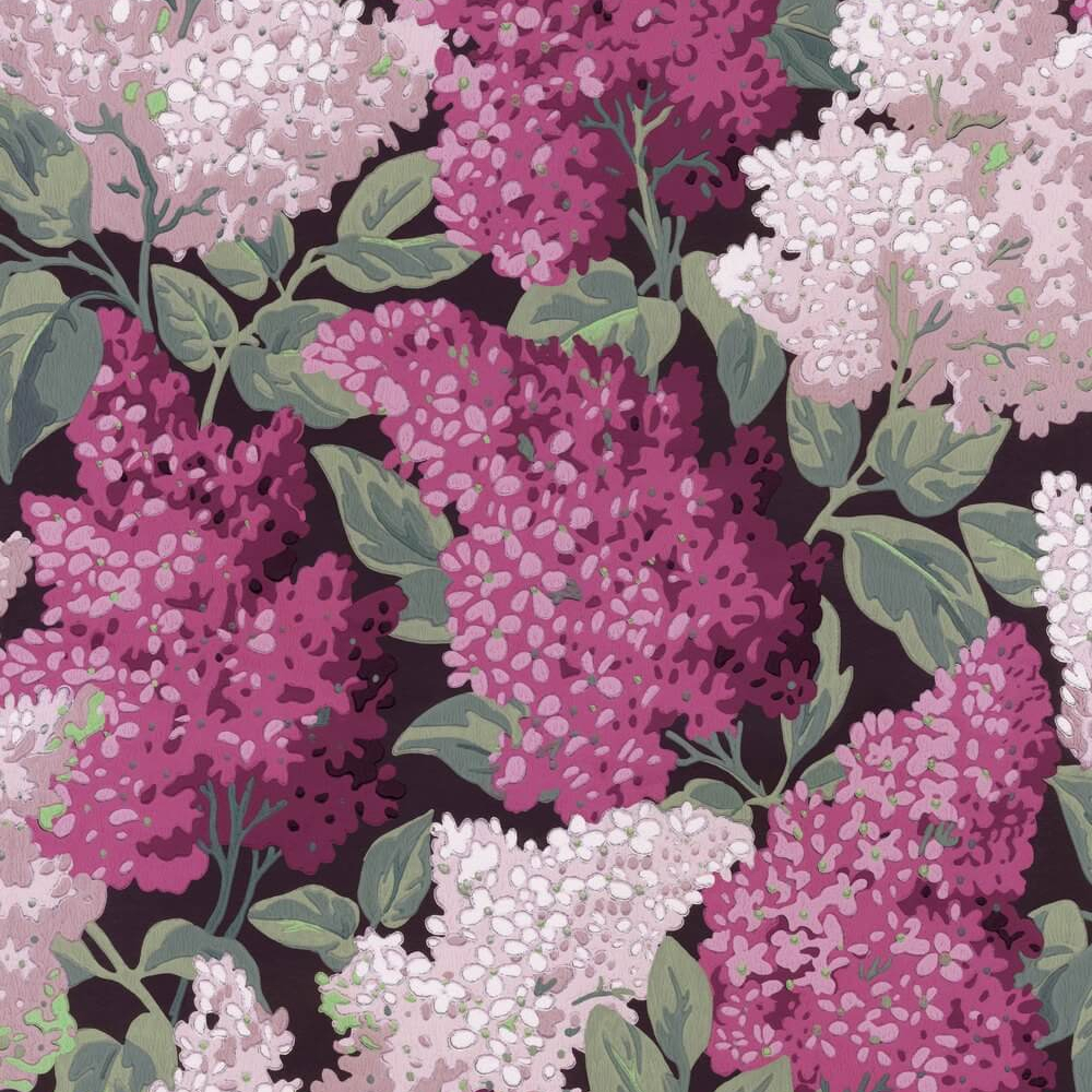 Lilac Grandiflora
