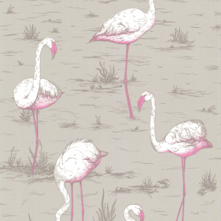 Flamingos