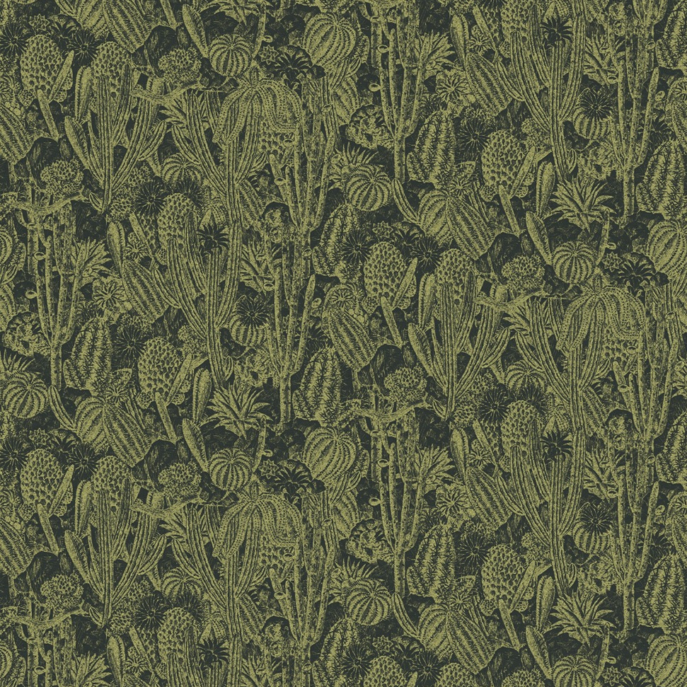 CACTUS