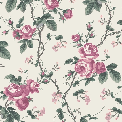 French Roses 