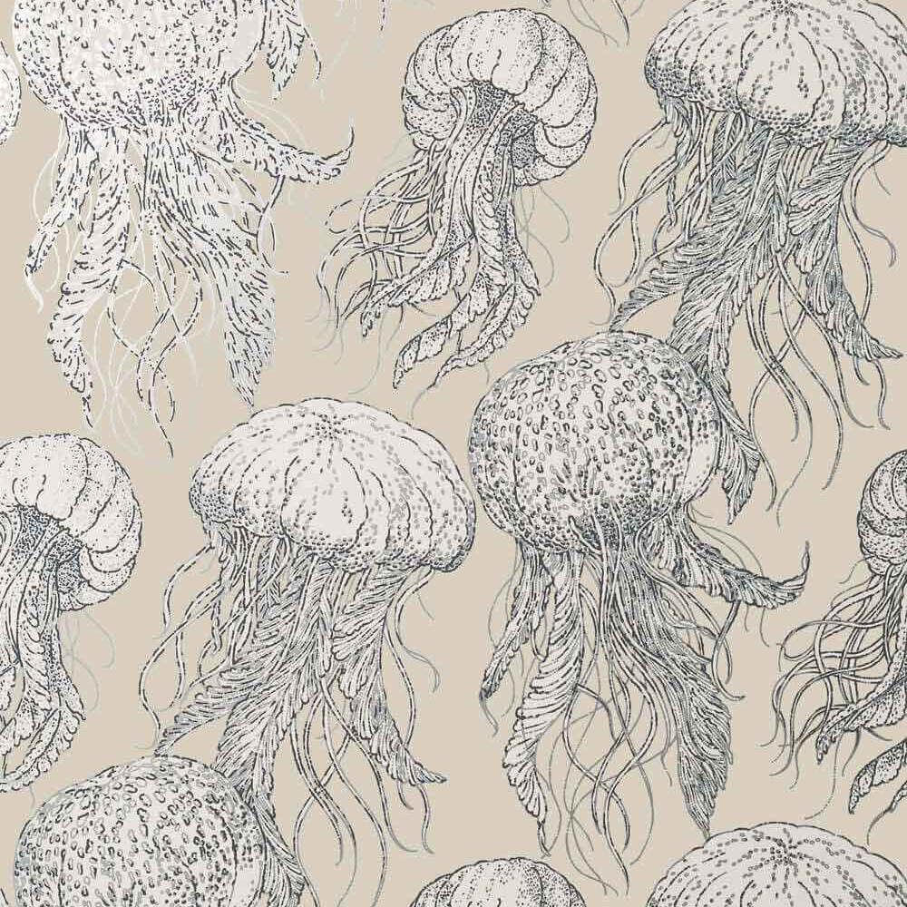 Jelly Fish Bloom