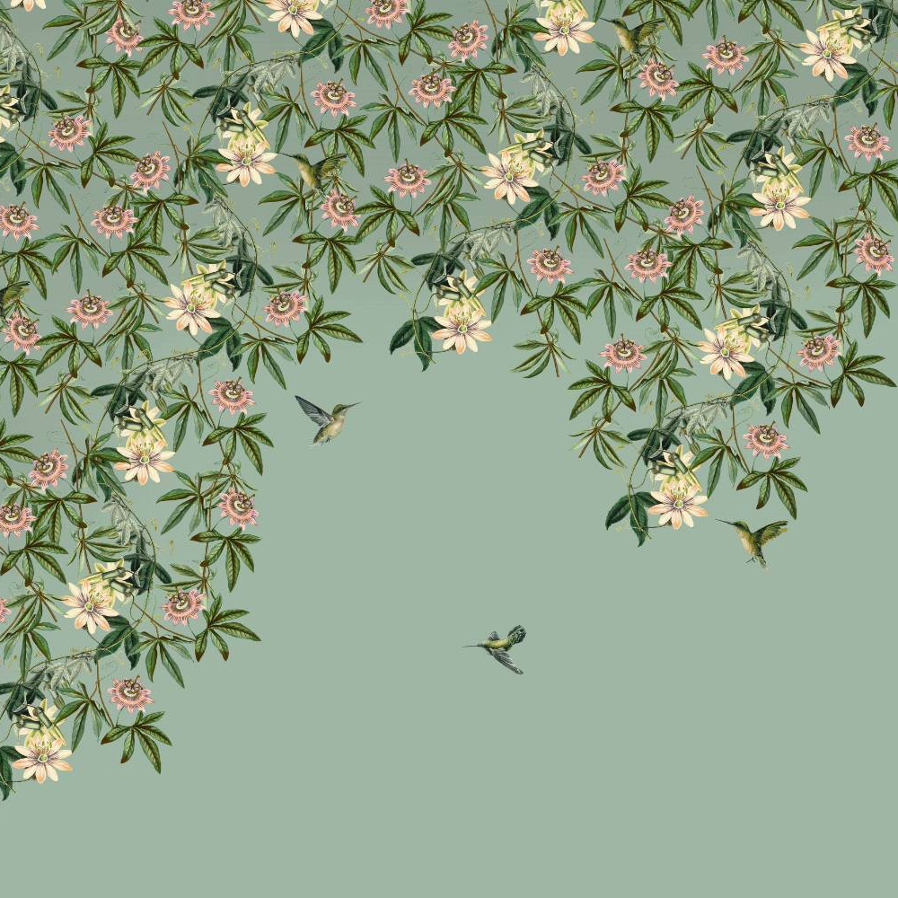 Passionate Colibri
