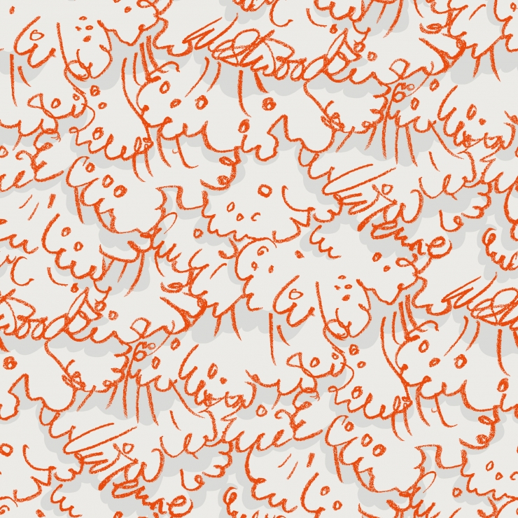Vivienne's Lace