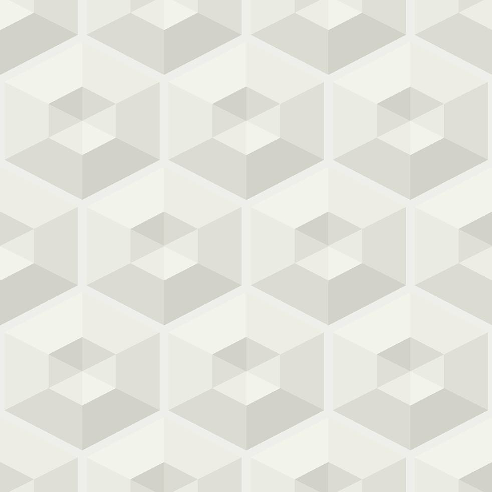 Hexagon Illusion