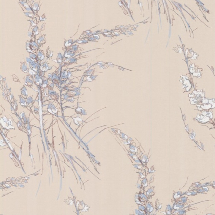 Wind Flowers