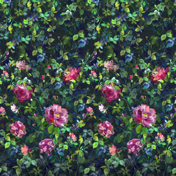 Gertrude rose fuchsia