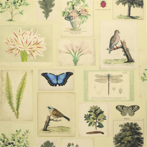 Flora and fauna - Yellow Wallpaper