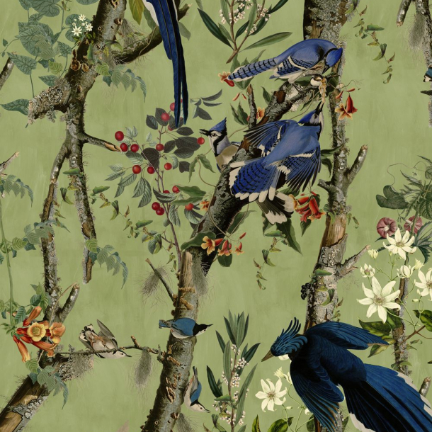 BIRDS OF DANUBE