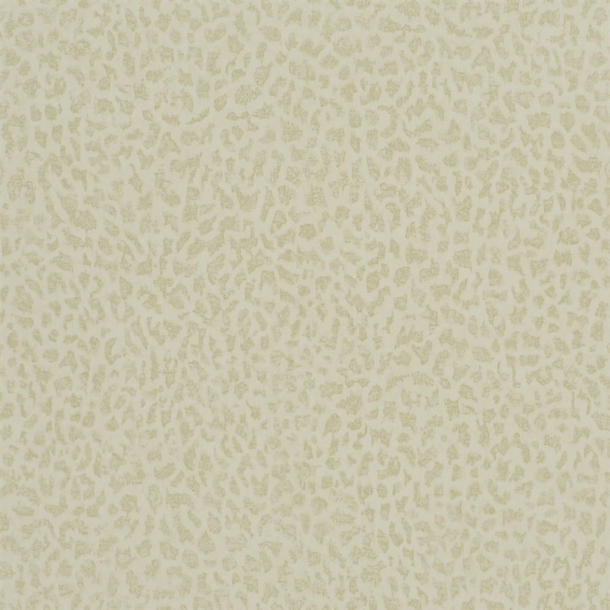 Ciottoli