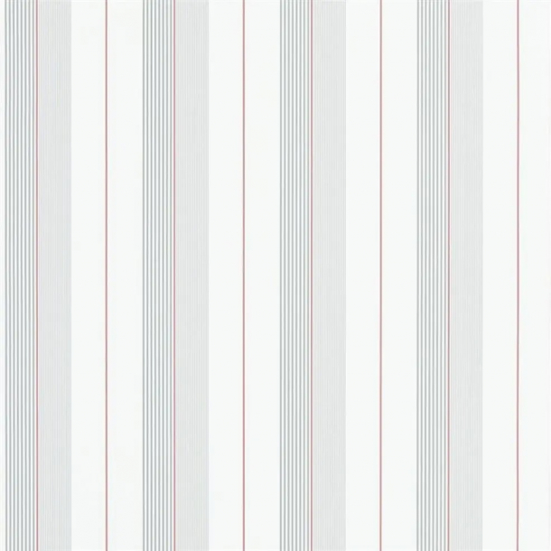 Aiden Stripe