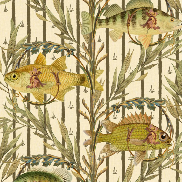SWEETWATER FISHES