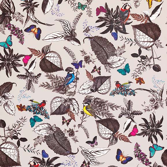 Bird Song
