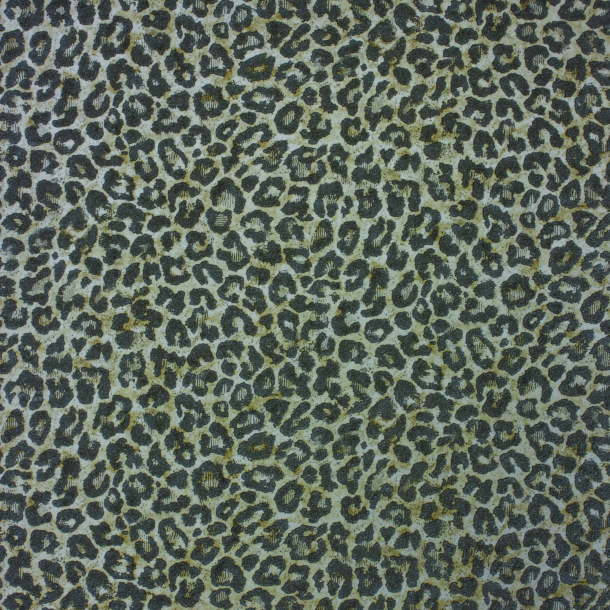 Pardus