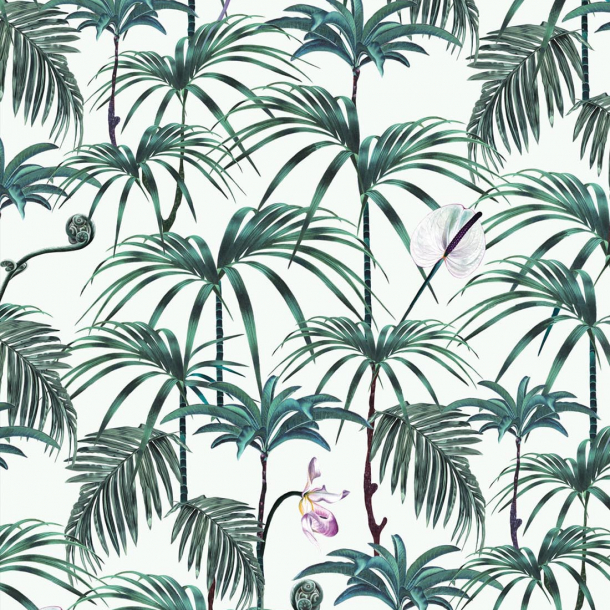 Elysian Palms