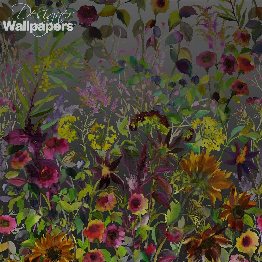 sunflower wallpaper uk