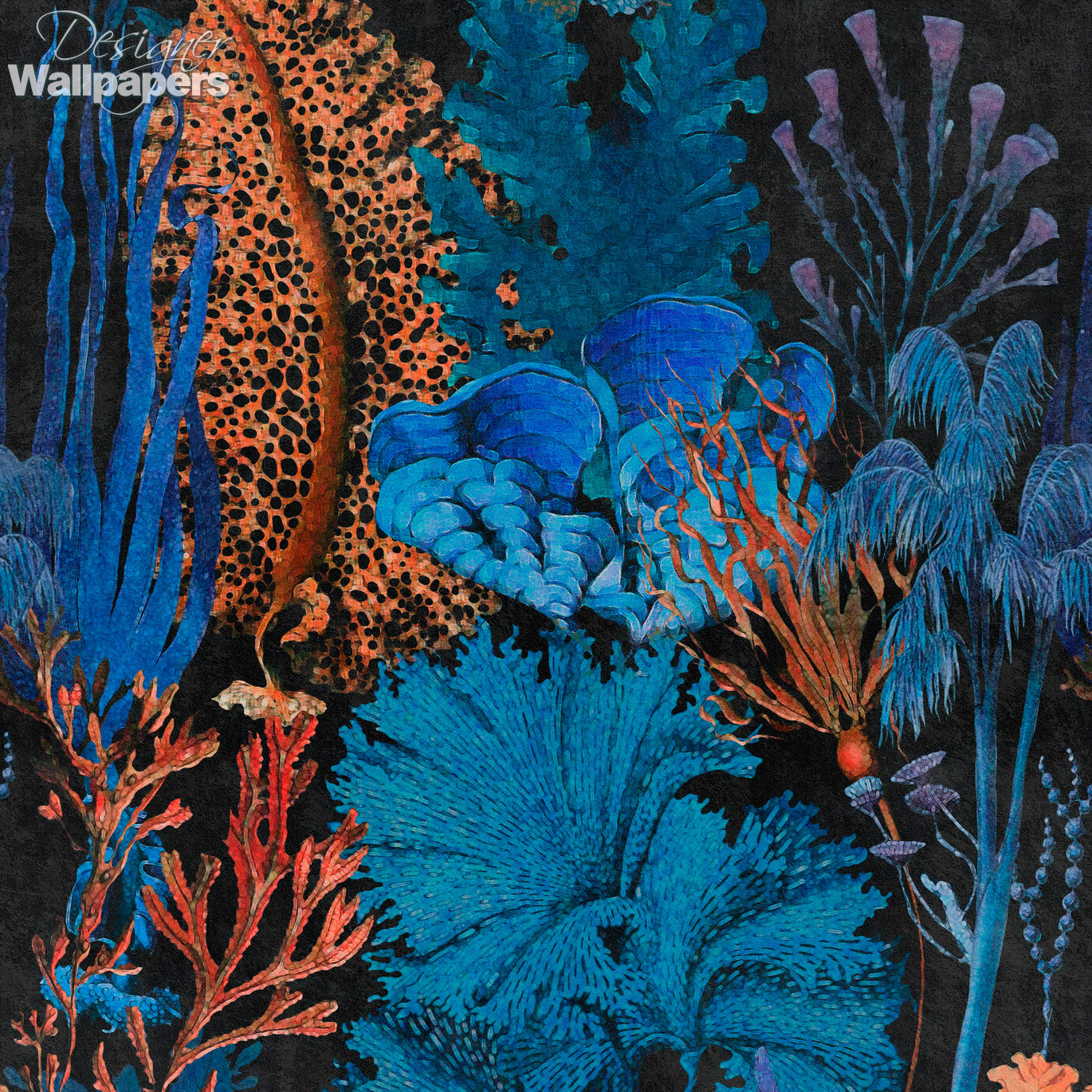 Mind The Gap Coral Reef - Next Day Delivery | Designer Wallpapers