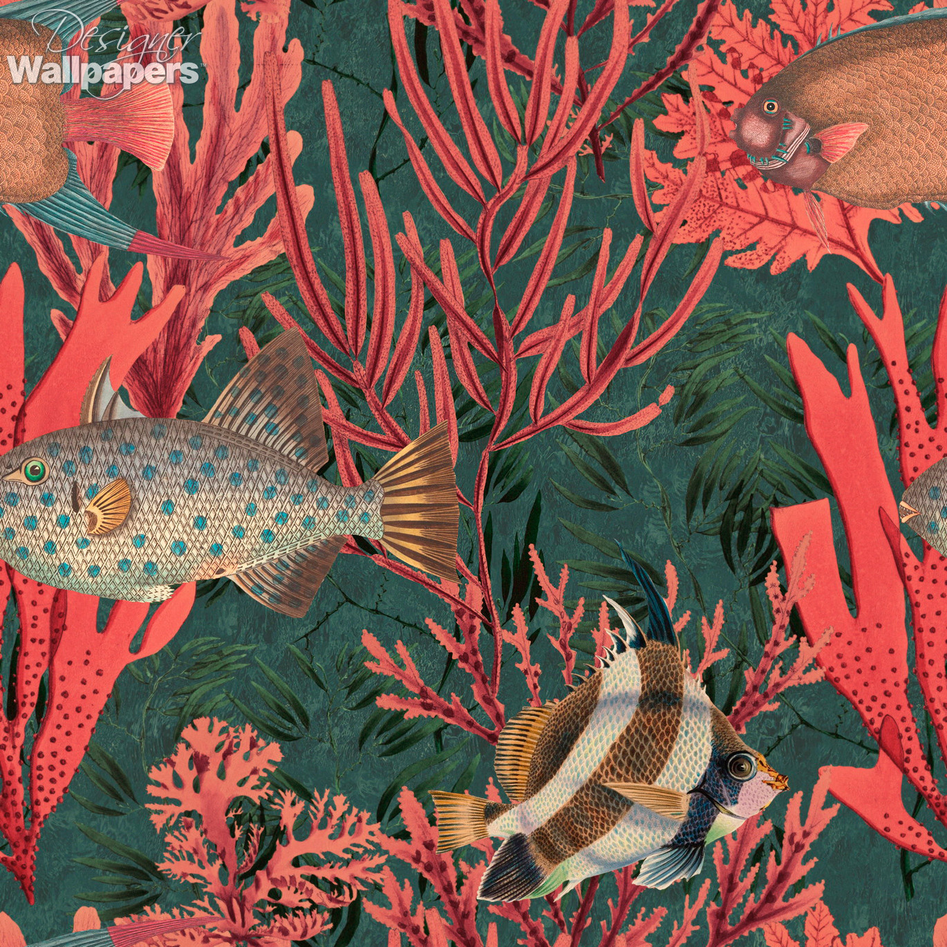 under the sea wallpaper uk