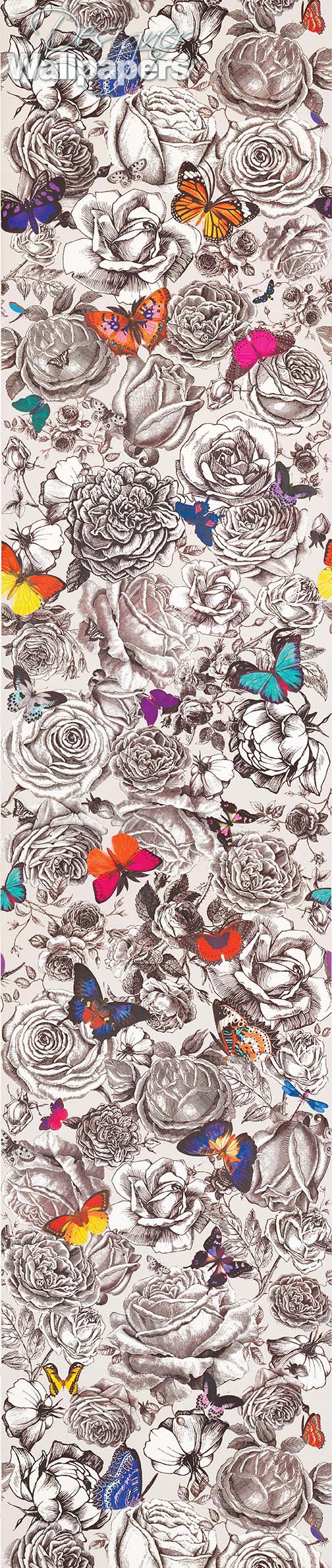 Osborne & Little Butterfly Garden Next Day Delivery Designer