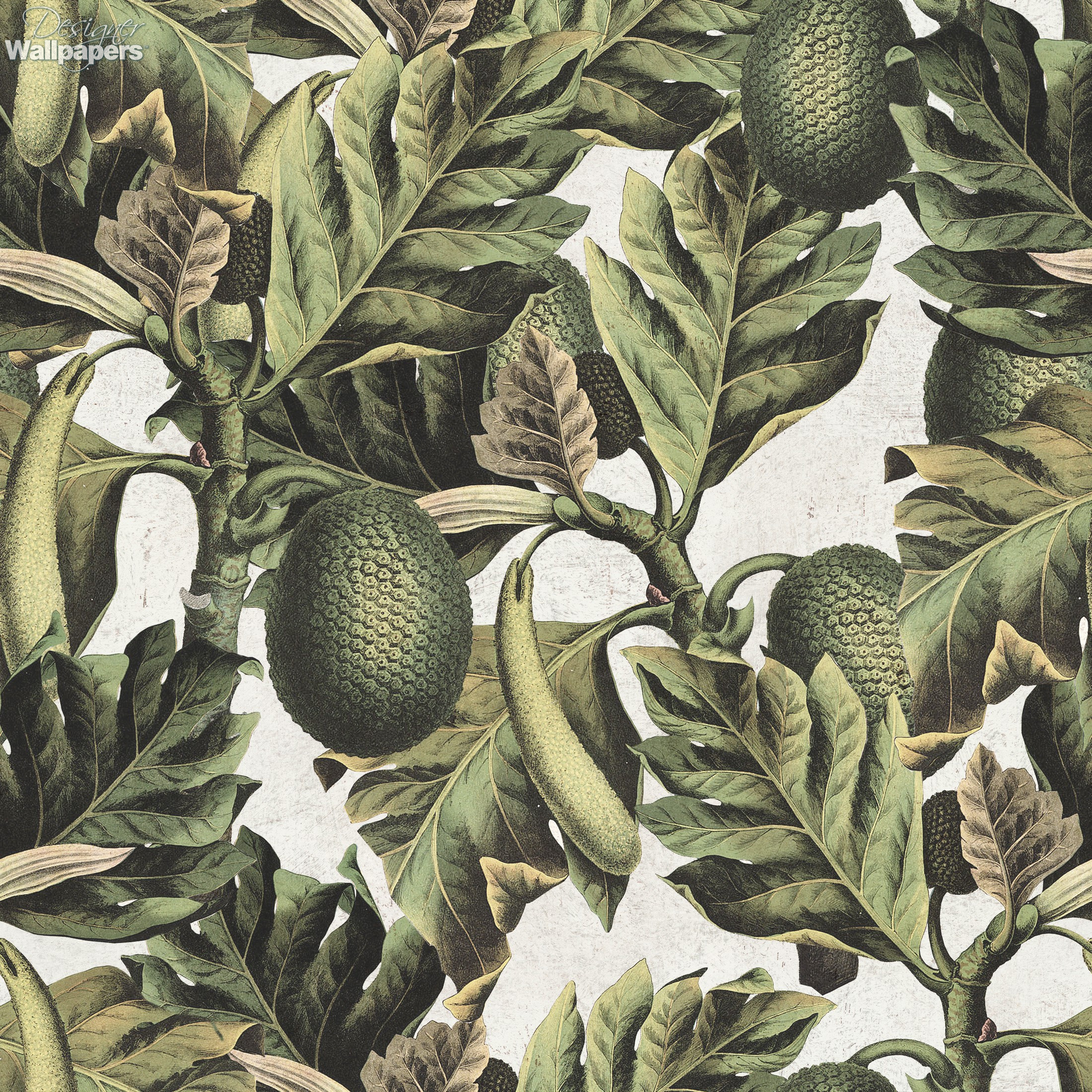 fruit wallpaper uk
