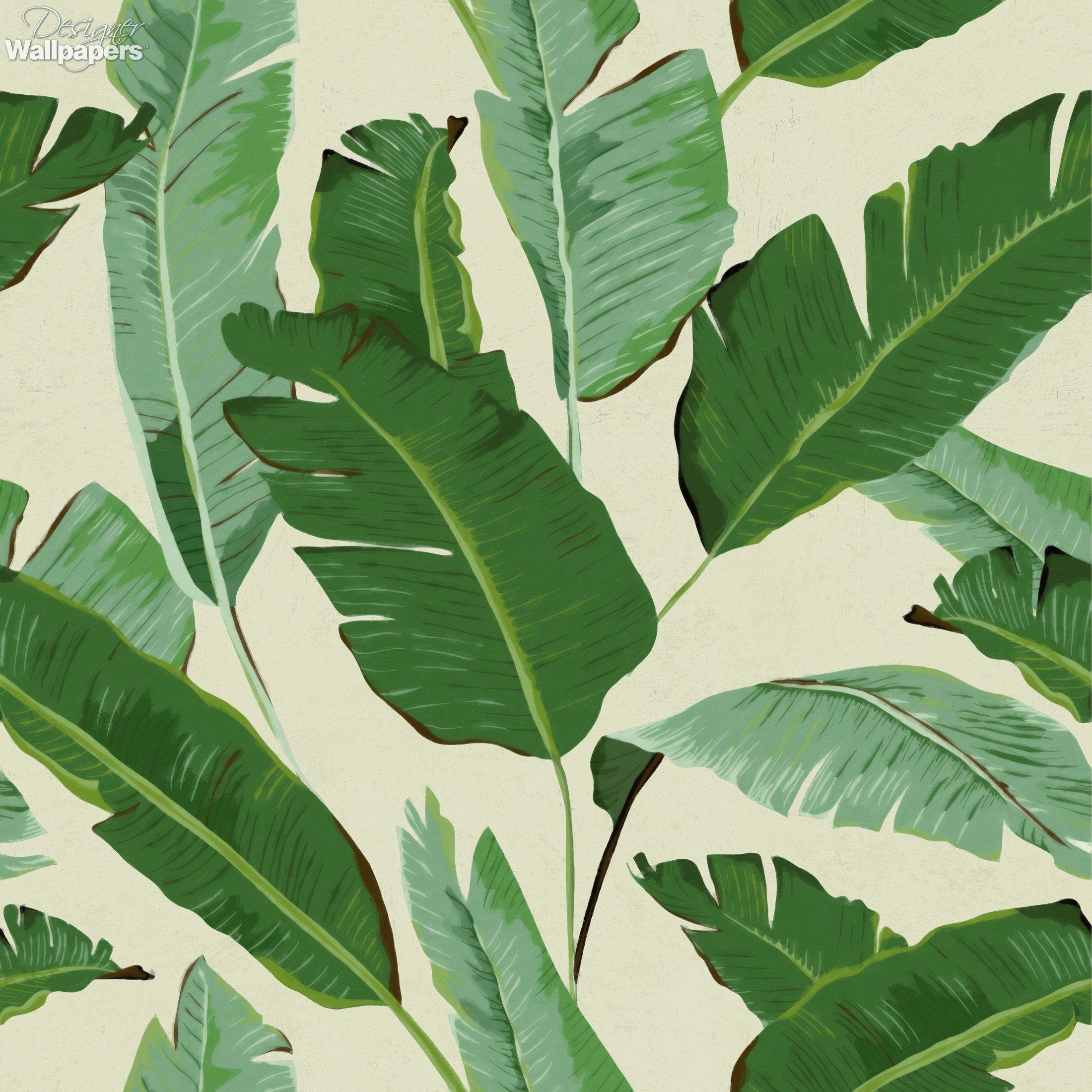 Image of shop banana leaf